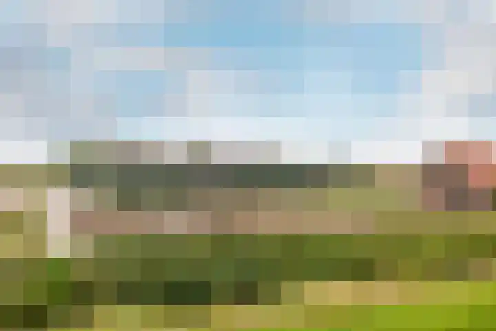 Ikkerseweg 2 Hellevoetsluis thumbnail 4
