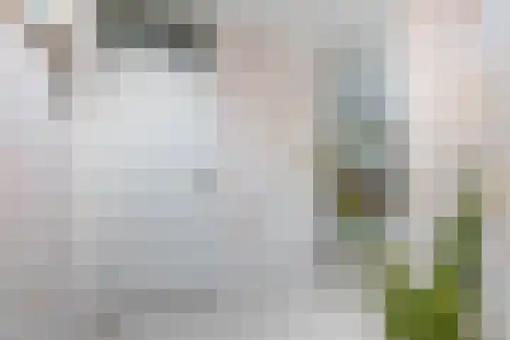 Ikoon 32 Capelle aan den IJssel thumbnail 20