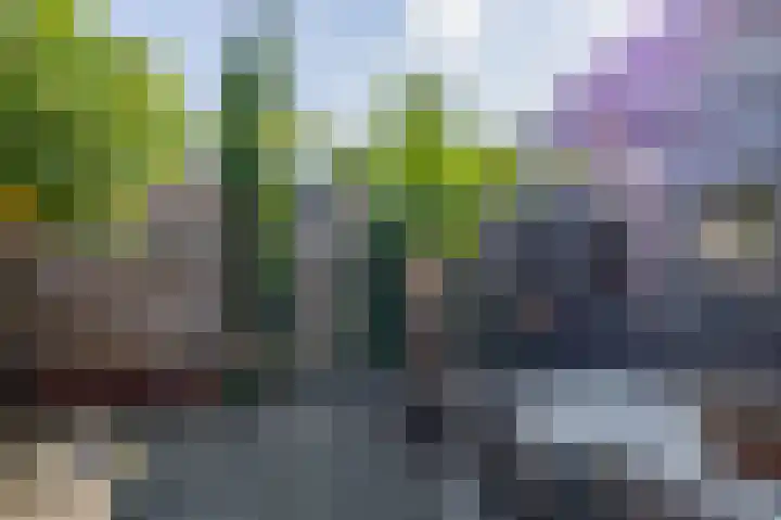 Ikoon 32 Capelle aan den IJssel thumbnail 32