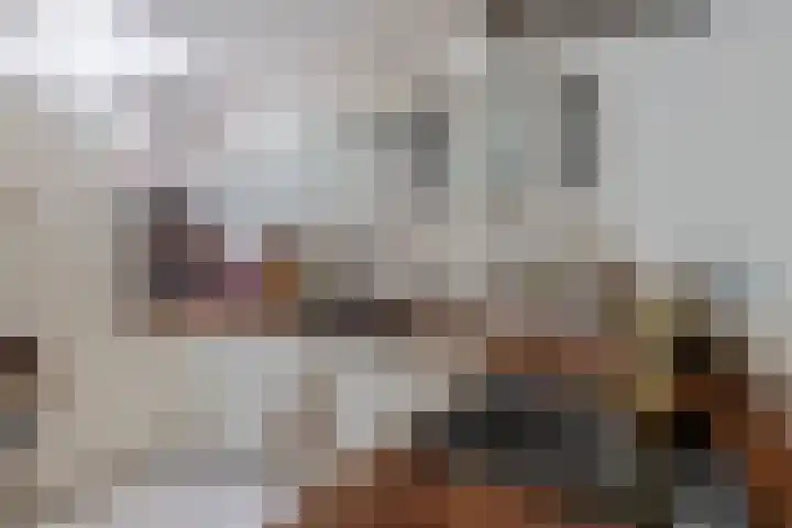 Ikoon 32 Capelle aan den IJssel thumbnail 4