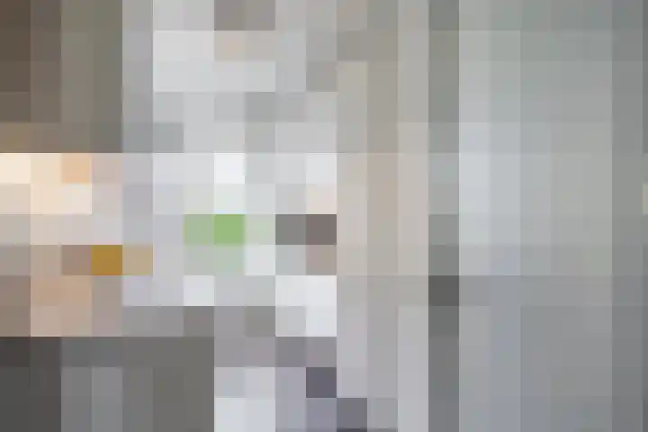 Iliumstraat 10 Eindhoven thumbnail 10