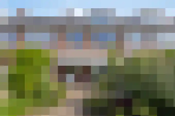 Iliumstraat 10 Eindhoven thumbnail 37