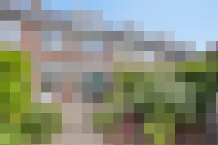Iliumstraat 10 Eindhoven thumbnail 38