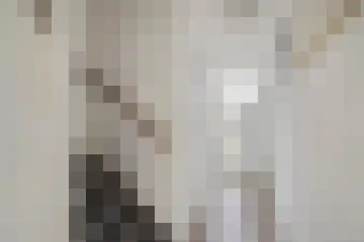 Iliumstraat 10 Eindhoven thumbnail 8