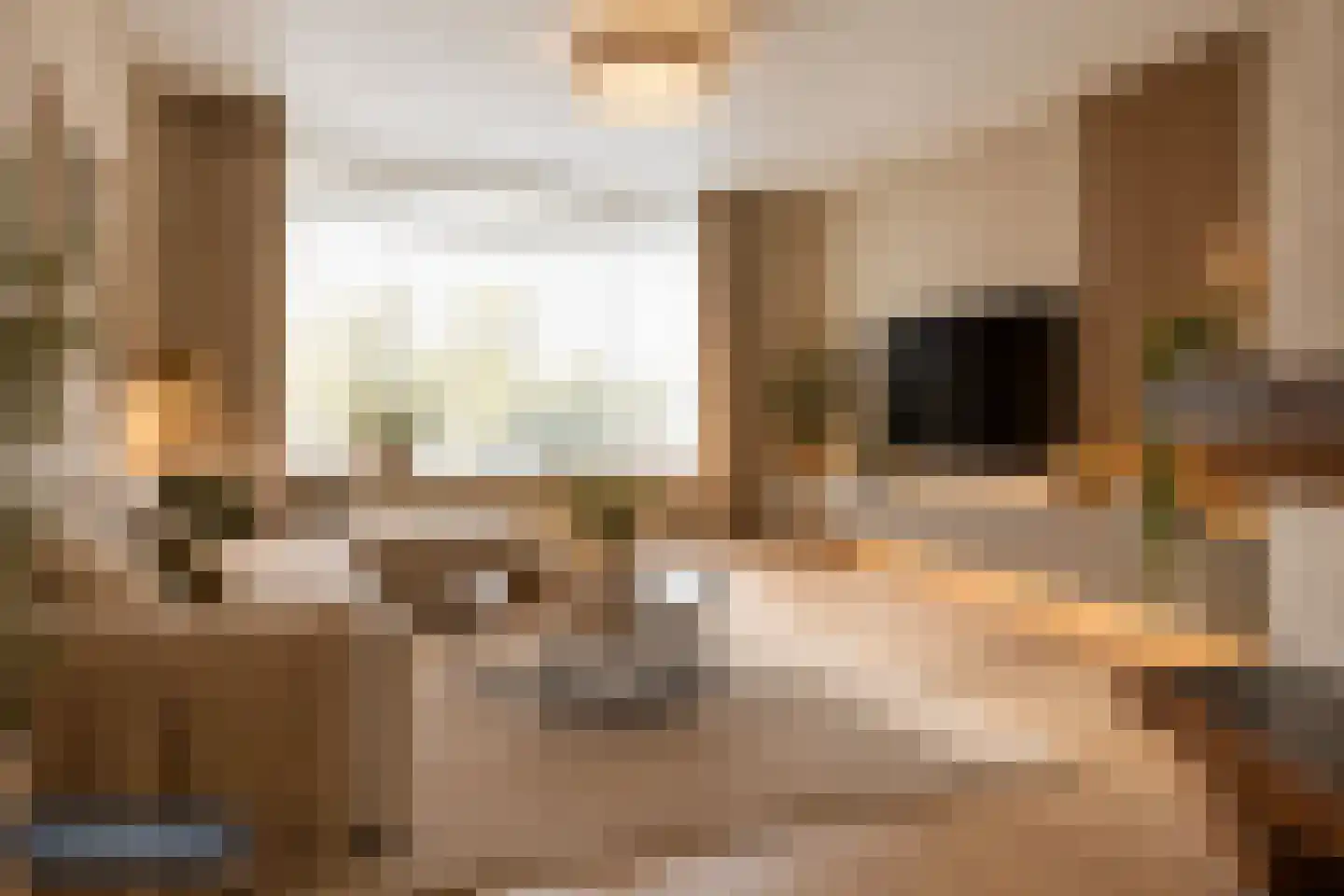 Iliumstraat 15 Eindhoven thumbnail 18