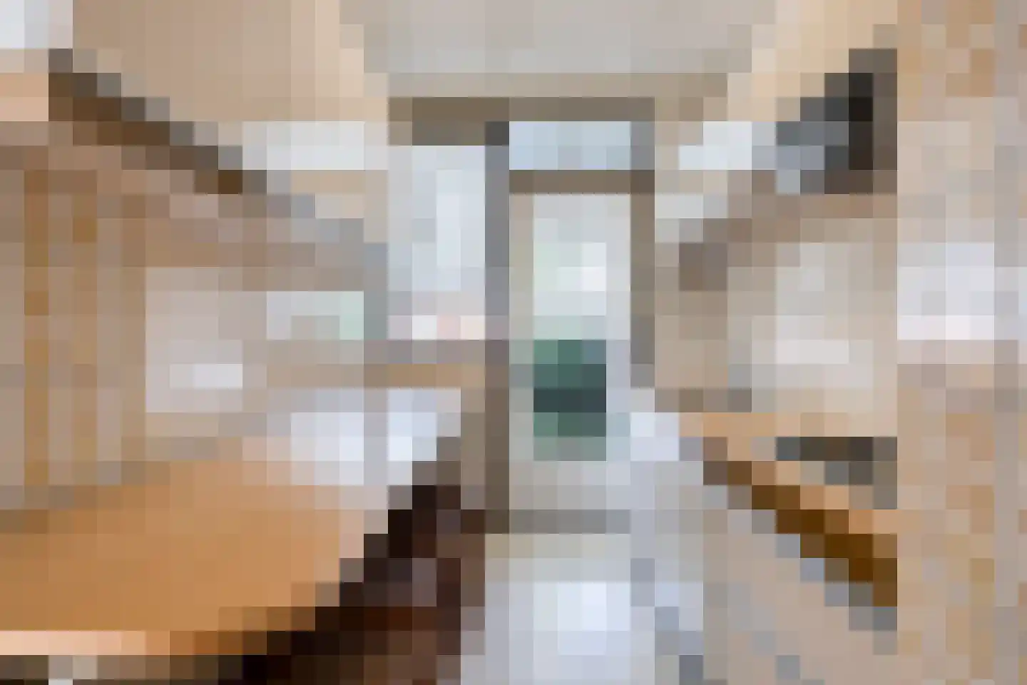 Iliumstraat 15 Eindhoven thumbnail 24