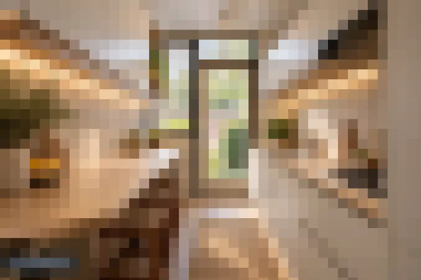 Iliumstraat 15 Eindhoven thumbnail 25