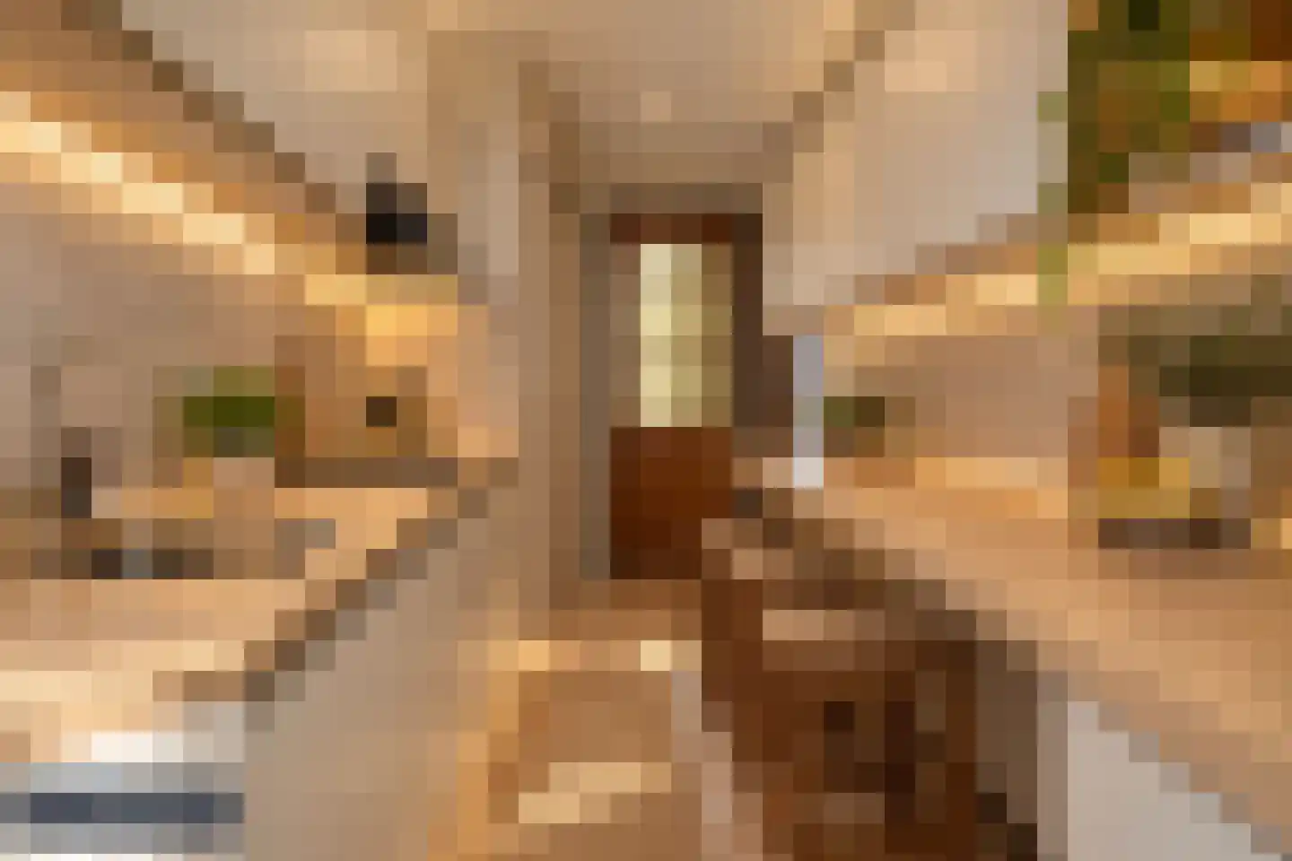 Iliumstraat 15 Eindhoven thumbnail 26