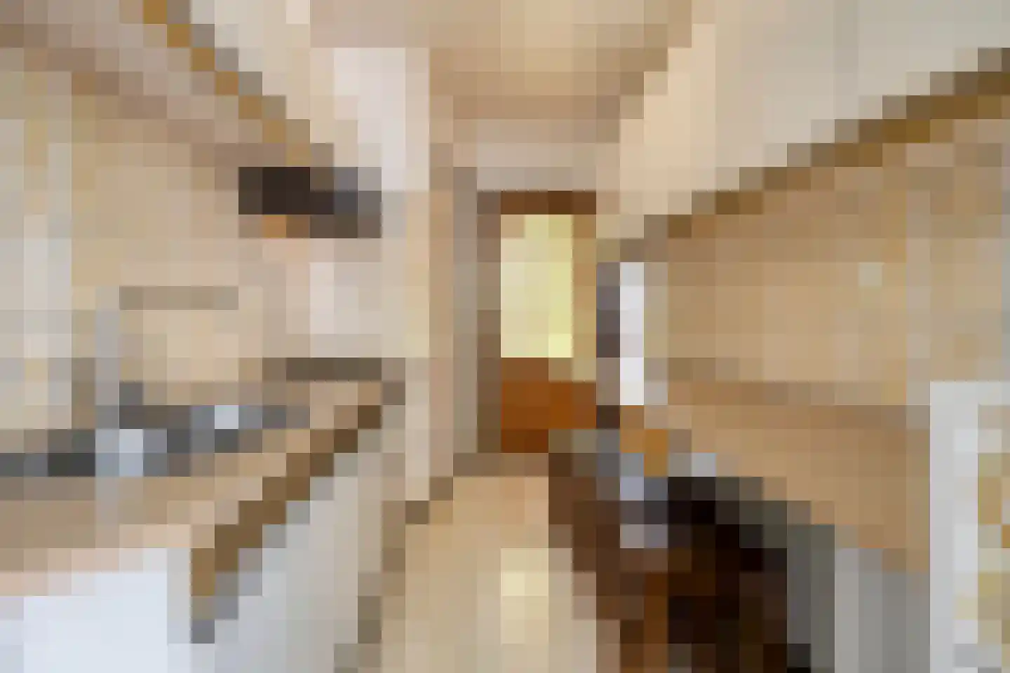 Iliumstraat 15 Eindhoven thumbnail 28