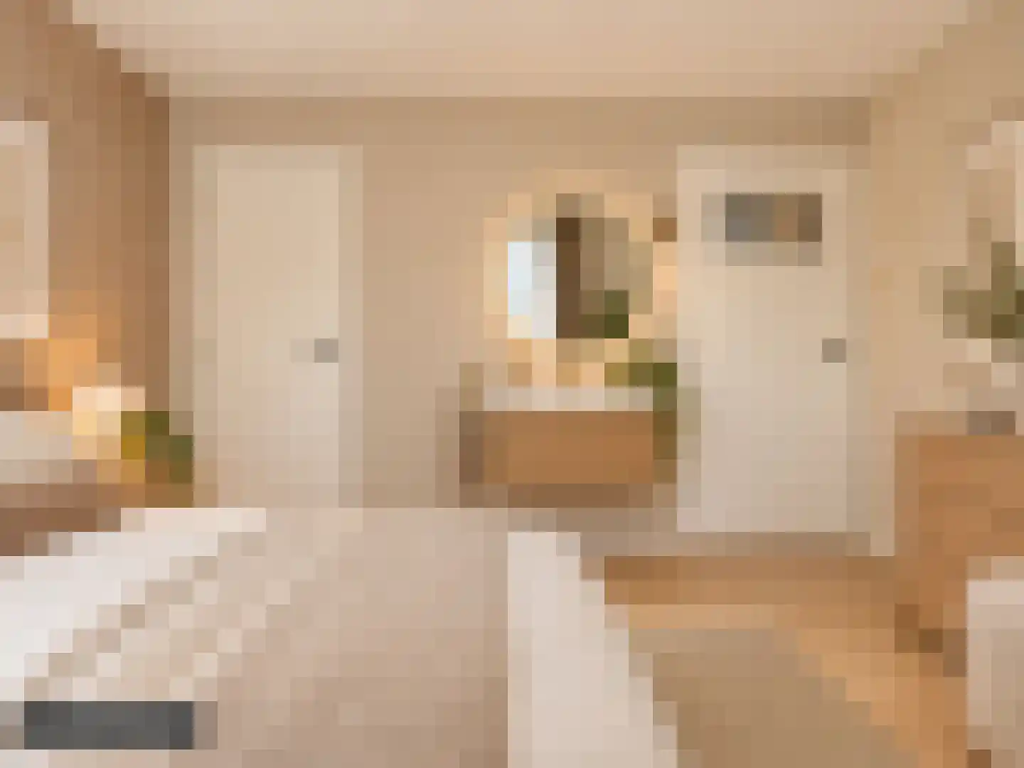 Iliumstraat 15 Eindhoven thumbnail 34
