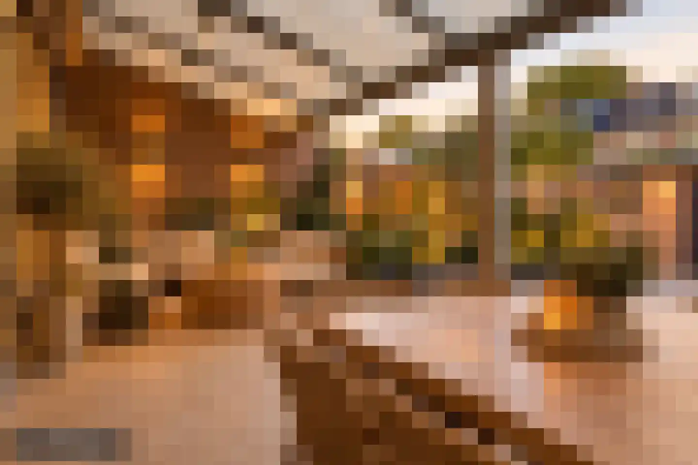 Iliumstraat 15 Eindhoven thumbnail 53