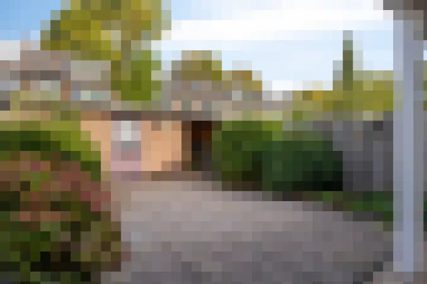 Iliumstraat 15 Eindhoven thumbnail 55