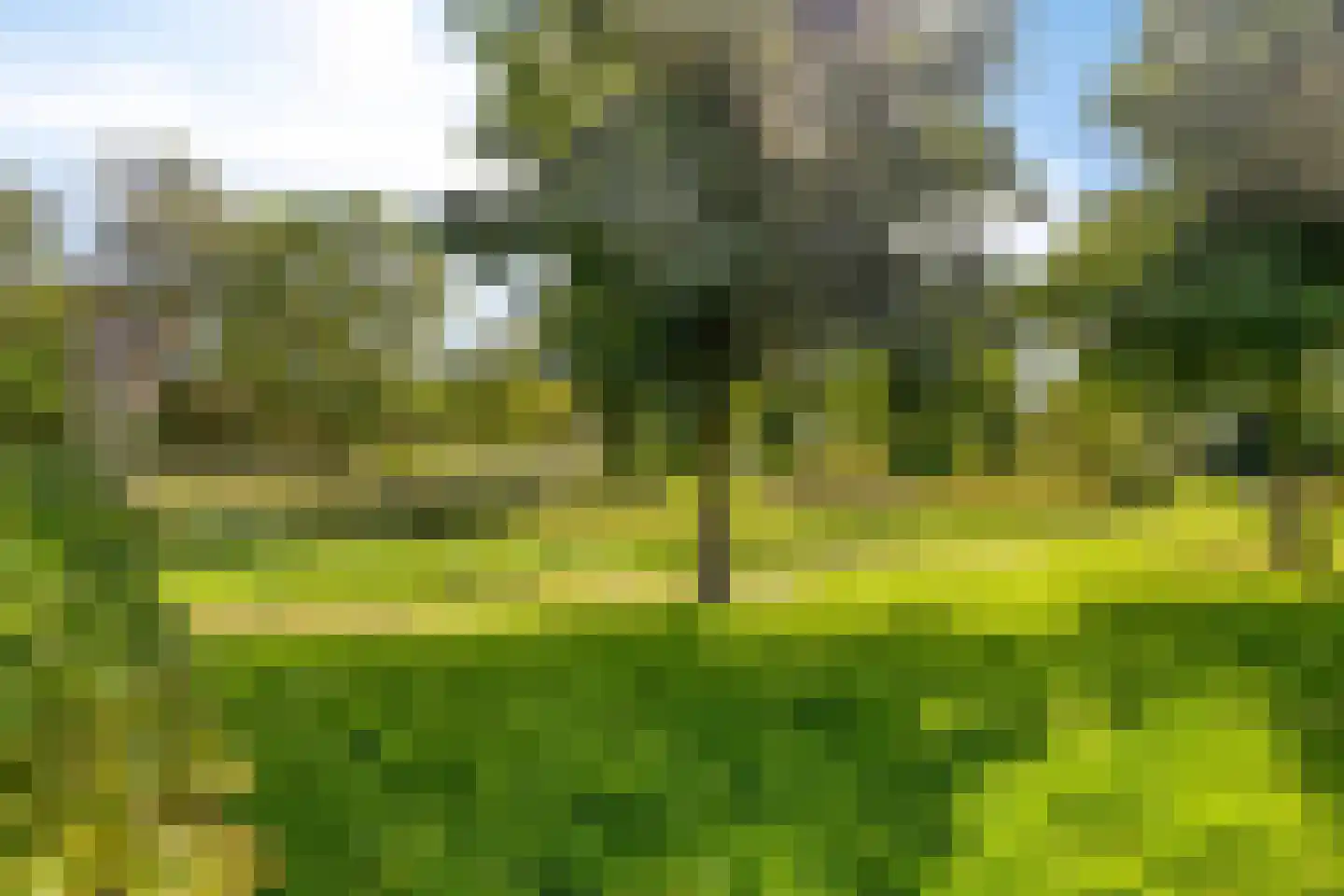 Iliumstraat 15 Eindhoven thumbnail 9