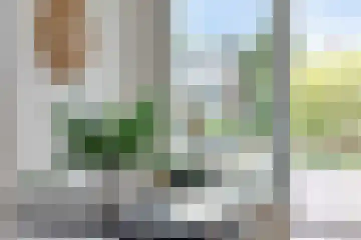 Illegaliteitslaan 110 Groningen thumbnail 11