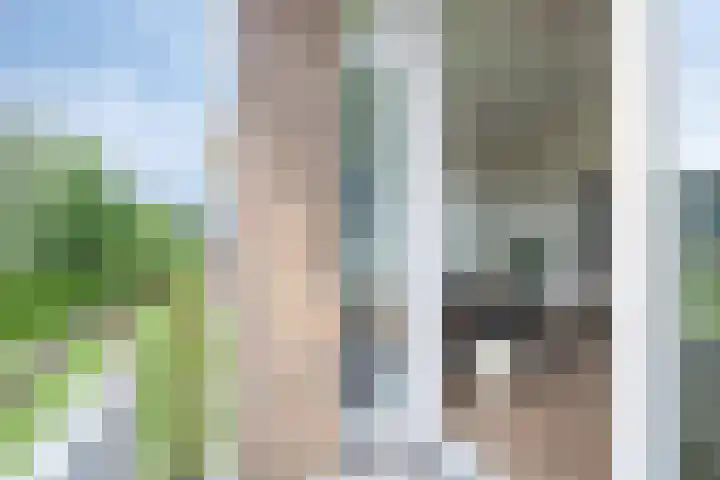 Illegaliteitslaan 110 Groningen thumbnail 16