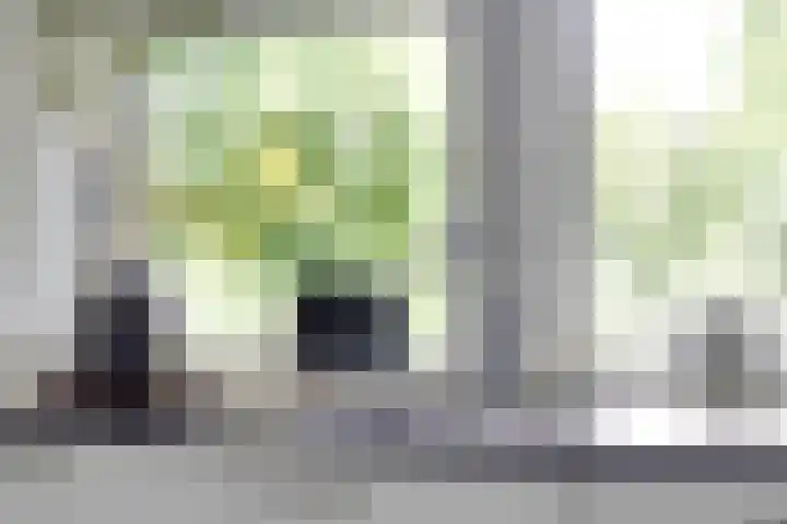 Illegaliteitslaan 110 Groningen thumbnail 22