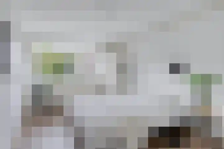 Illegaliteitslaan 110 Groningen thumbnail 28