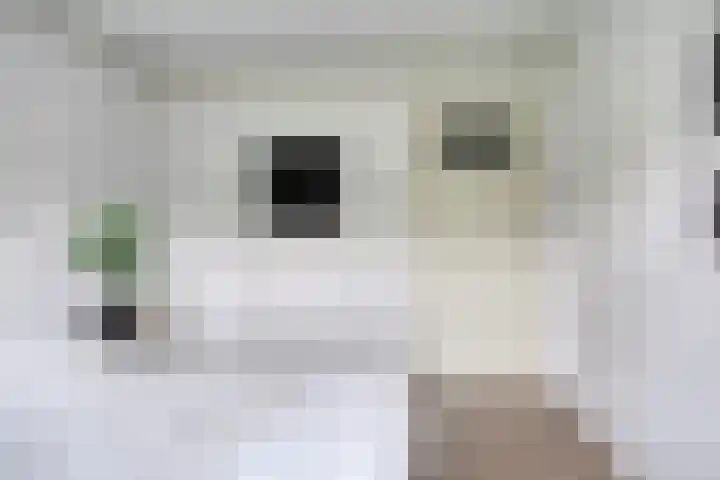 Illegaliteitslaan 110 Groningen thumbnail 30