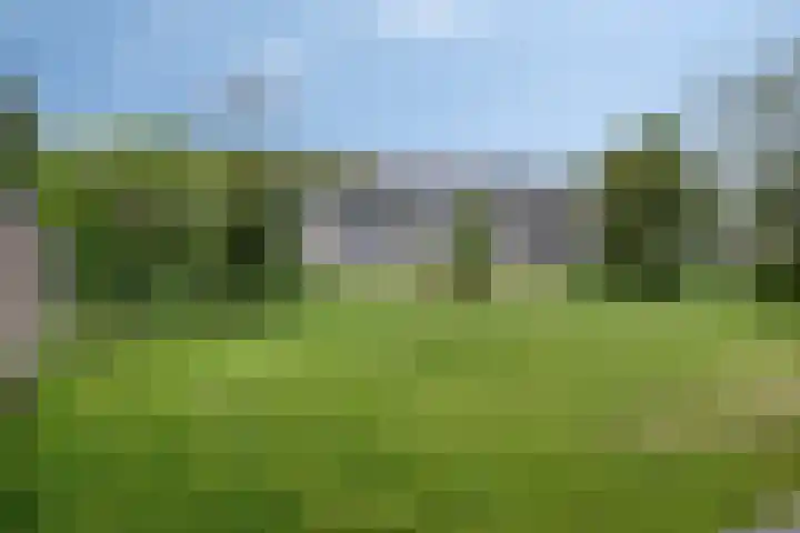 Illegaliteitslaan 110 Groningen thumbnail 33
