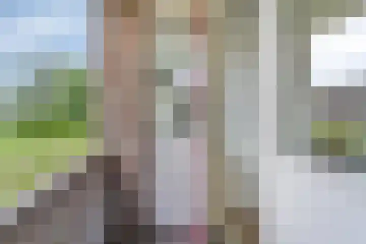 Illegaliteitslaan 110 Groningen thumbnail 34
