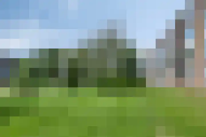 Illegaliteitslaan 110 Groningen thumbnail 38