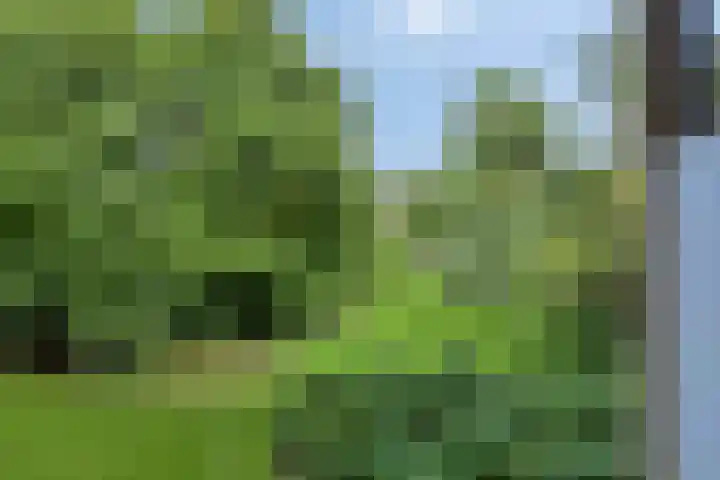 Illegaliteitslaan 110 Groningen thumbnail 40