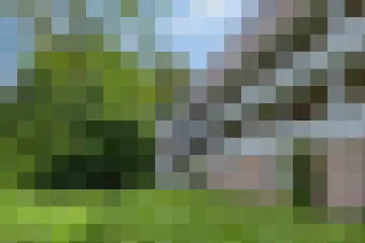 Illegaliteitslaan 110 Groningen thumbnail 41