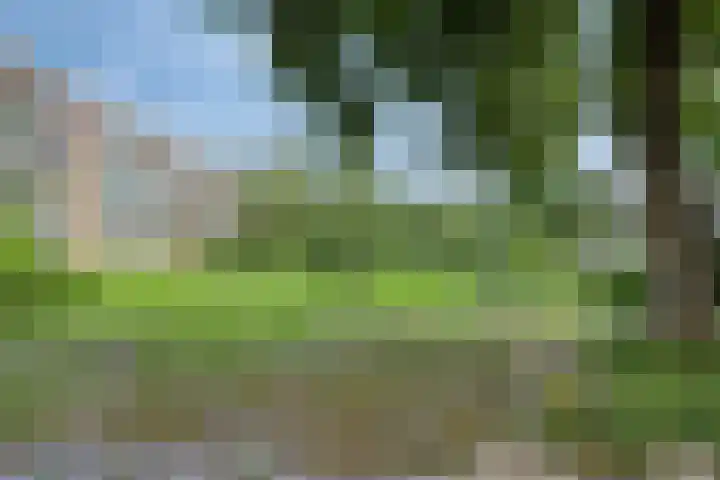 Illegaliteitslaan 110 Groningen thumbnail 43