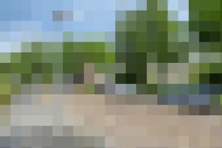 Illegaliteitslaan 110 Groningen thumbnail 44