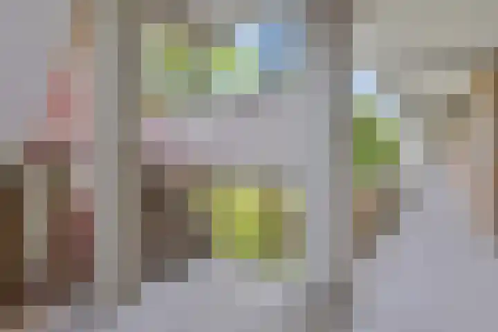 Illegaliteitslaan 110 Groningen thumbnail 6