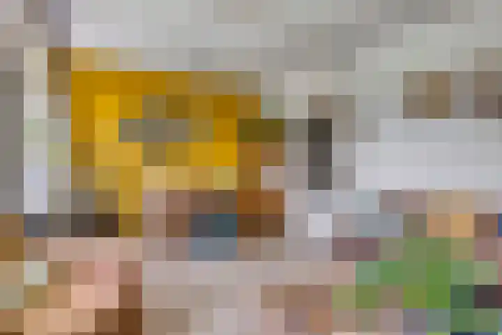 Illegaliteitslaan 12 Groningen thumbnail 11