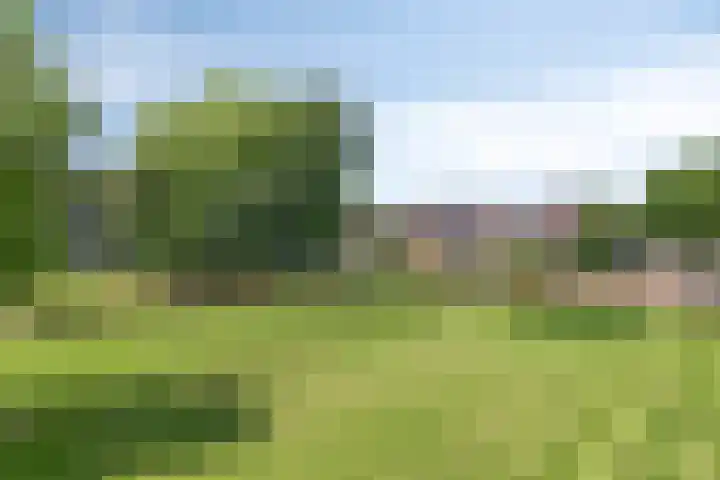 Illegaliteitslaan 12 Groningen thumbnail 17