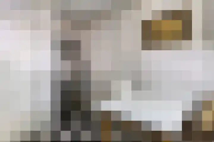 Illegaliteitslaan 12 Groningen thumbnail 19