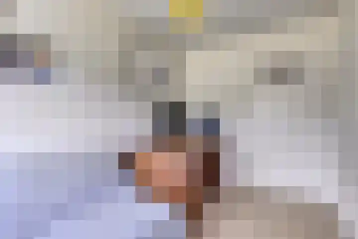 Illegaliteitslaan 12 Groningen thumbnail 22