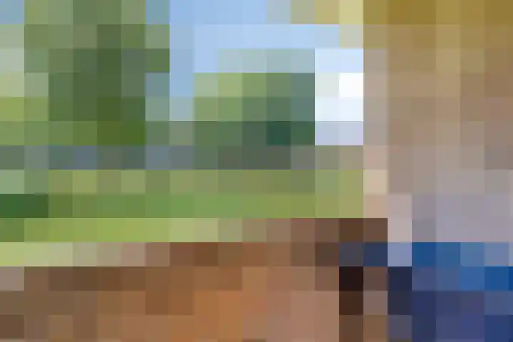Illegaliteitslaan 12 Groningen thumbnail 23