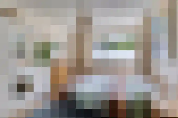 Illegaliteitslaan 12 Groningen thumbnail 24