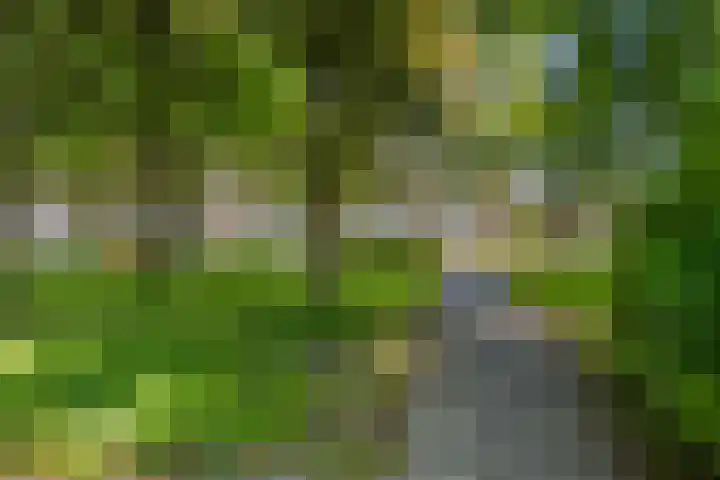 Illegaliteitslaan 12 Groningen thumbnail 31