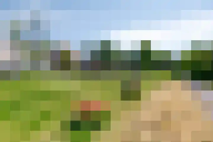 Illegaliteitslaan 12 Groningen thumbnail 32