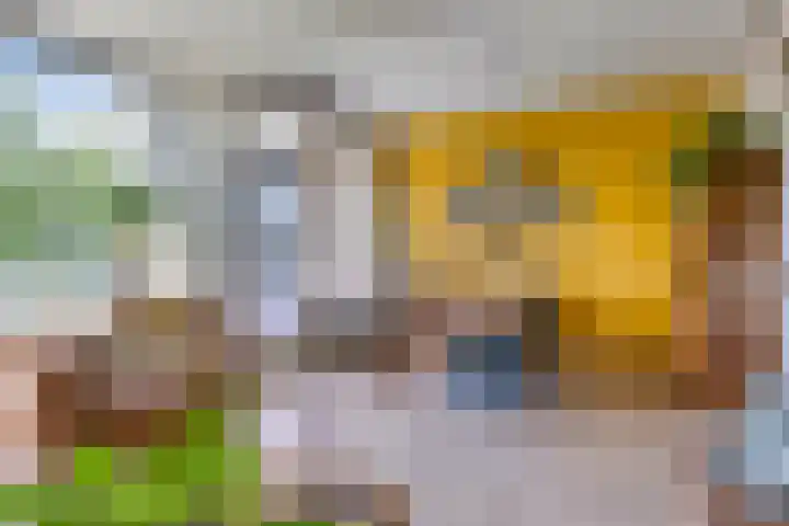 Illegaliteitslaan 12 Groningen thumbnail 33
