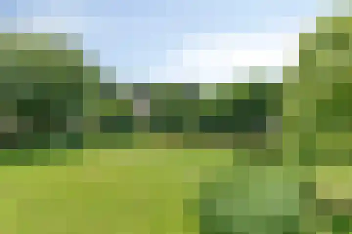 Illegaliteitslaan 12 Groningen thumbnail 5