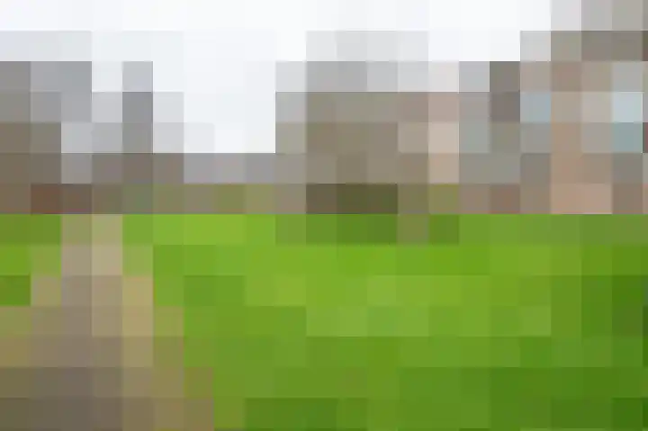 Illegaliteitslaan 120 in Groningen