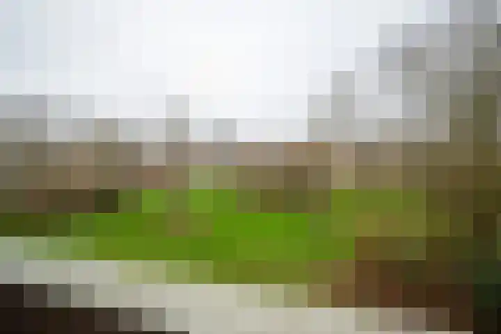 Illegaliteitslaan 120 Groningen thumbnail 10