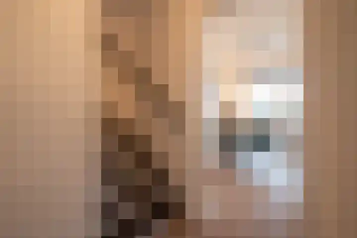 Illegaliteitslaan 120 Groningen thumbnail 25