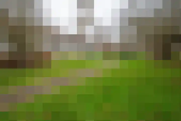 Illegaliteitslaan 120 Groningen thumbnail 5