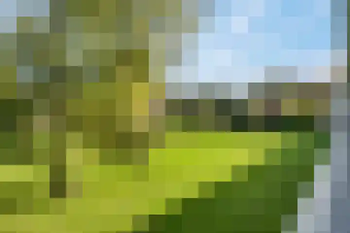 Illegaliteitslaan 136 Groningen thumbnail 11