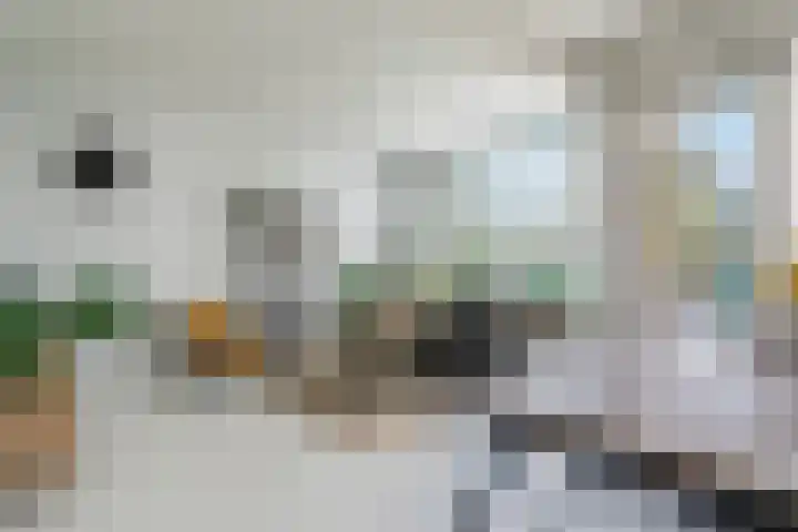 Illegaliteitslaan 136 Groningen thumbnail 14