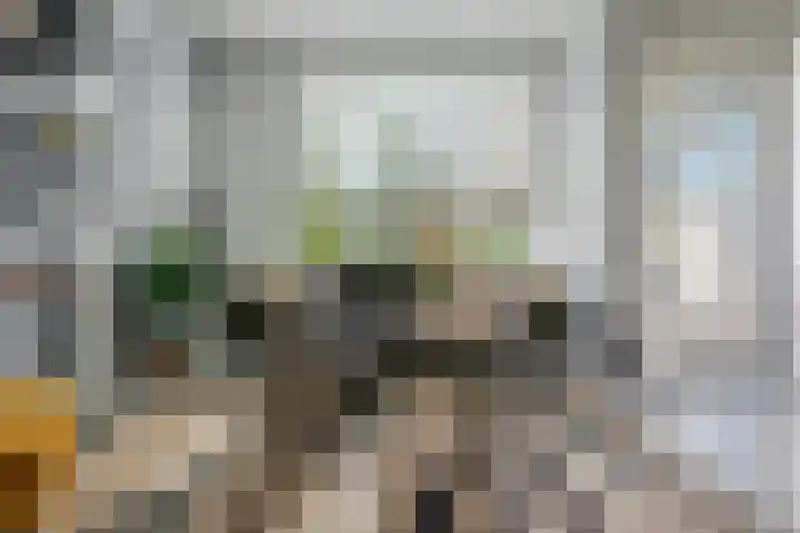 Illegaliteitslaan 136 Groningen thumbnail 15