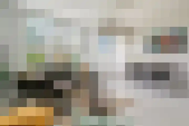 Illegaliteitslaan 136 Groningen thumbnail 16
