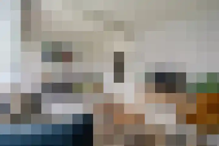 Illegaliteitslaan 136 Groningen thumbnail 17