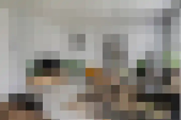 Illegaliteitslaan 136 Groningen thumbnail 19